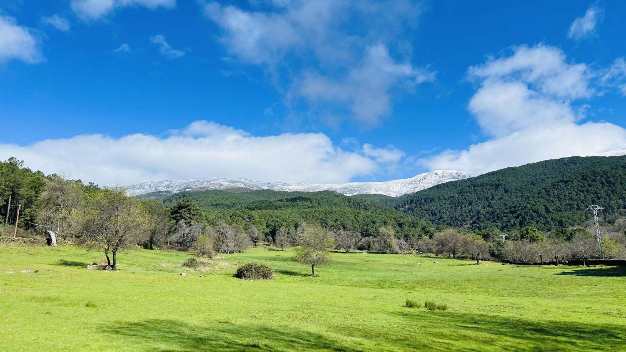 Revolcona La Adrada
